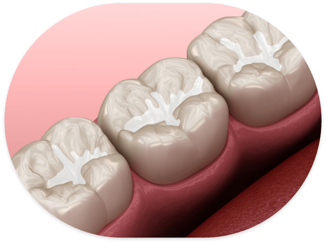 Illustrated close up of row of teeth